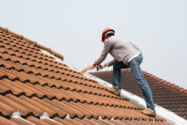 Best Metal Roofing Installation  in Pinehurst, MA
