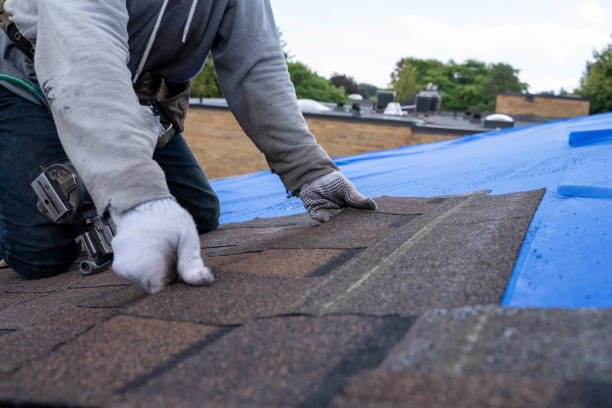 Fast & Reliable Emergency Roof Repairs in Pinehurst, MA